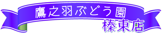 鷹之羽ぶどう園榛東店